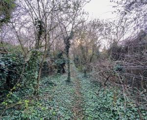 Znížená cena - Jedinečná príležitosť - Historický vinársky dom v samotnom srdci Pezinka