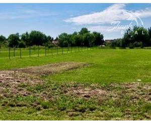 Rozľahlý pozemok v obci Pavlice okr.Trnava