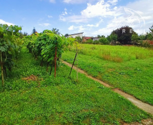 Exkluzívne - veľký pozemok na predaj