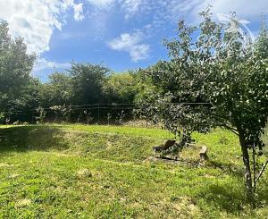 Chatka v lone prírody s pekným pozemkom