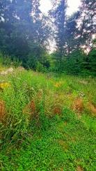 Znížená cena! Stavebný pozemok na predaj