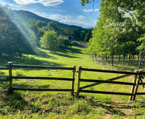 Nádherný investičný pozemok pri lese