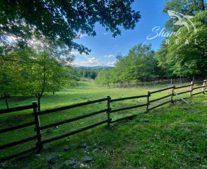 Nádherný investičný pozemok pri lese