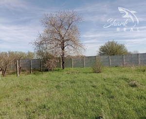 Pekný rovinatý pozemok v Poľnom Kesove