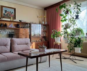 ZNÍŽENÁ CENA!!! Slnečný 3 izbový byt s garážou