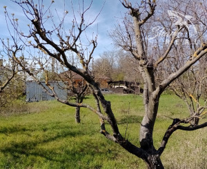 Slnečný pozemok v Poľnom Kesove