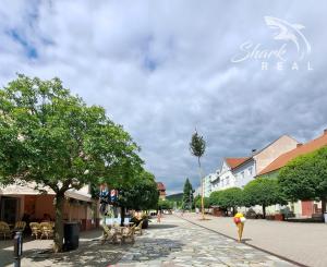 Dom na námestí. Bývanie a podnikanie v jednom.