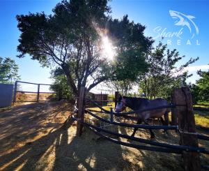 Znížená cena. Zrekonštruovaný rodinný dom vo Veľkých Kostoľanoch