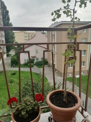 Na predaj priestranný slnečný 3-izbový byt na Krajinskej ulici