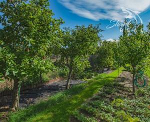 Peknučký zrekonštruovaný dom s veľkou úžitkovou záhradou