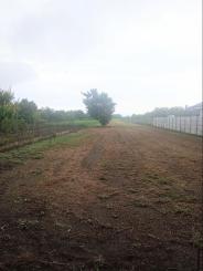 Na predaj pekný, rovinatý pozemok v Trnovci nad Váhom 