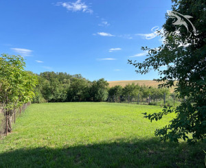 Rodinný dom s pekným pozemkom Pozba / Nové Zámky