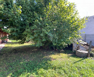 Rodinný dom s pekným pozemkom Pozba / Nové Zámky