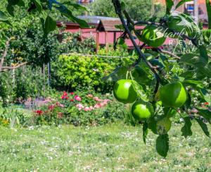 ZNÍŽENÁ CENA - EXKLUZÍVNE: Záhrada s murovanou chatkou – Špačince, Dolný mlyn – len 5 minút od Trnavy!