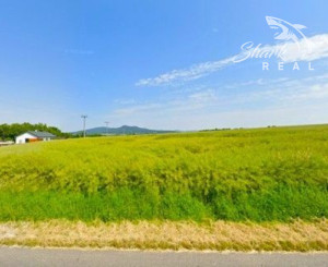 Stavebné pozemky neďaleko Nitry