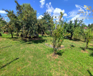 Priestranný a udržiavaný rodinný dom na predaj