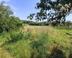 Priestranný a udržiavaný rodinný dom na predaj