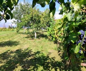 Exkluzívne- Útulný dom s nádhernou záhradou v krásnej prírode