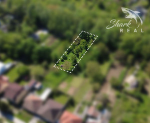 Záhrada _ zámocký park Suchá nad Parnou