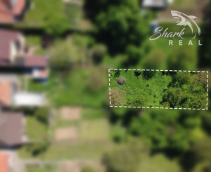 Záhrada _ zámocký park Suchá nad Parnou