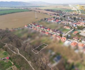 Záhrada _ zámocký park Suchá nad Parnou