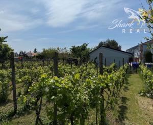 Rodinný dom na predaj v obci Slovenský Grob