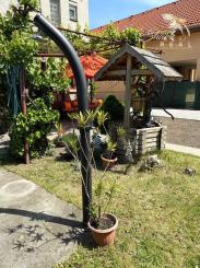 Rodinný dom na predaj v obci Slovenský Grob