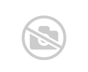 VÝRAZNE ZNÍŽENÁ CENA _  Záhrada 700m2_Predaj_ Račianska