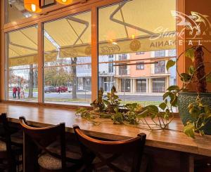 Rozbehnutý biznis v srdci Piešťan hľadá nového majiteľa!