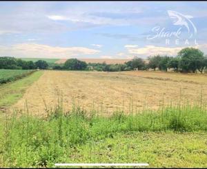 Na predaj Pozemok v Obci Egreš 2000 m² 