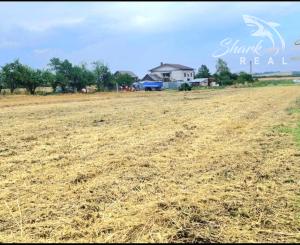 Na predaj Pozemok v Obci Egreš 2000 m² 