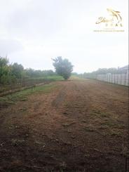 Na predaj pekný, rovinatý pozemok v Trnovci nad Váhom 