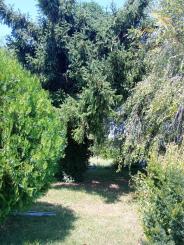 3-izbový RD s príjemnou záhradou 1750m2