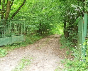 Jedinečná chata v lese, vhodná na investíciu