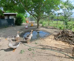 NOVINKA! Rodinný dom na predaj