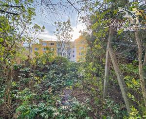 Znížená cena - Jedinečná príležitosť - Historický vinársky dom v samotnom srdci Pezinka