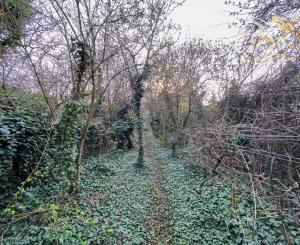 Znížená cena - Jedinečná príležitosť - Historický vinársky dom v samotnom srdci Pezinka