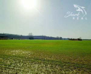 Rovinatý pozemok na predaj v blízkosti prírody