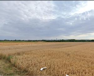 Predaj pozemku - záhrada v Bučanoch