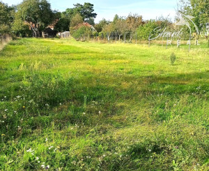 Len u nás nová cena! Rovinatý pozemok na predaj