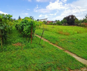 Exkluzívne - veľký pozemok na predaj