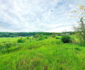 TOP CENA,  stavebný pozemok 4781m2 aj  pre developerov