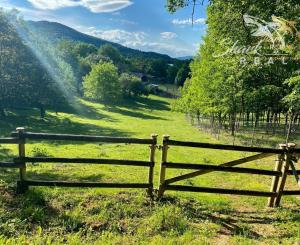 Nádherný investičný pozemok pri lese