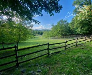 Nádherný investičný pozemok pri lese