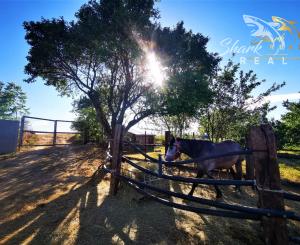 Znížená cena. Zrekonštruovaný rodinný dom vo Veľkých Kostoľanoch
