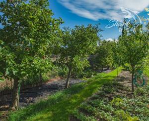 Peknučký zrekonštruovaný dom s veľkou úžitkovou záhradou