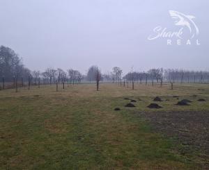 Rodinný dom na predaj s rozsiahlym pozemkom