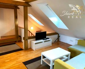 1izbový byt v  Ľudovej  štvrti _ Prenájom 