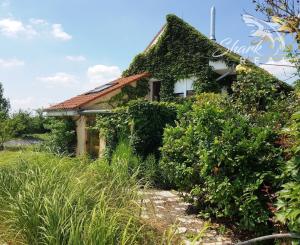 Jedinečná rodinná usadlosť s bazénom, posilňovňou, wellness a hosťovským domom