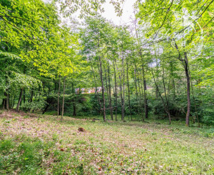 Duchonka / Pozemok  na výstavbu chaty v lone prírody